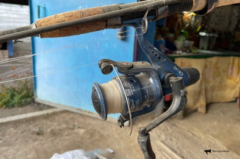 Рыба тянется к нему сама: какой цвет лески работает лучше всего в конце осени ИА Stavropol.Media