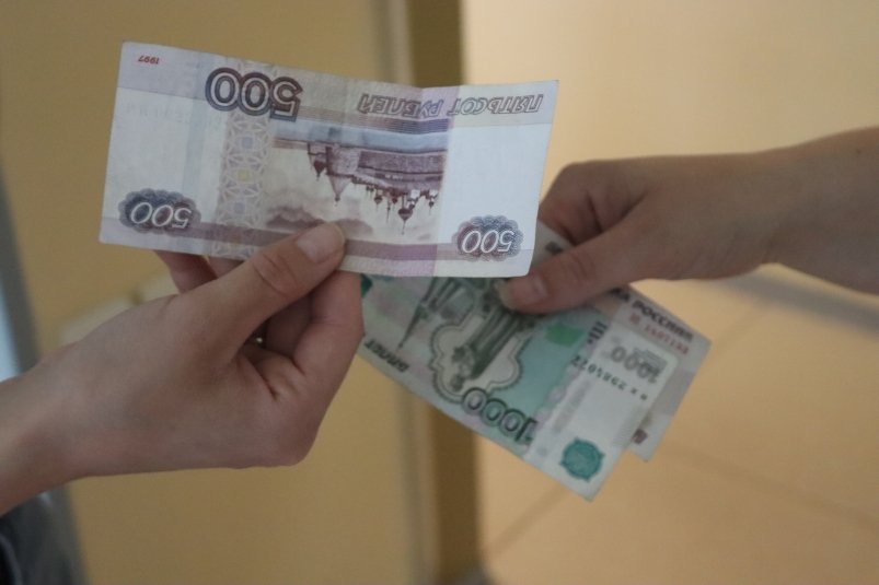 Самозанятые смогут получать пособия: что известно о законопроекте Долгополова О. А., ИА UssurMedia.ru