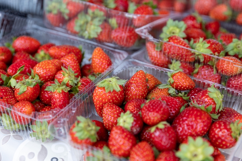 Клубника Илья Аверьянов, ИА PrimaMedia