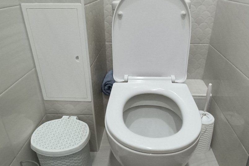 Освежители подвинутся: вонь в туалете отступит за 3 секунды — надежный метод сантехника с 30-летним стажем ИА SevastopolMedia.ru