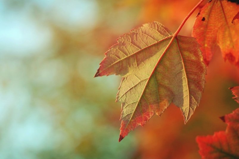 Тематическое фото unsplash