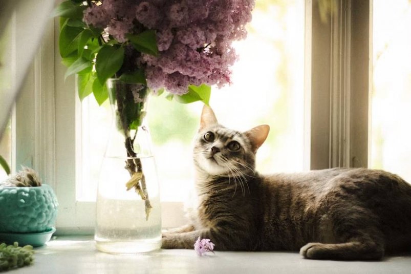 Тематическое фото unsplash.com