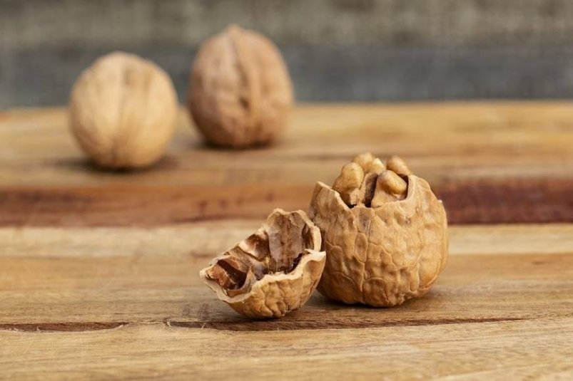 Тематическое фото unsplash.com