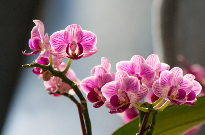 Тематическое фото pxhere.com