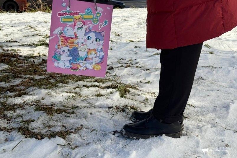 Тематическое фото ИА AmurMedia