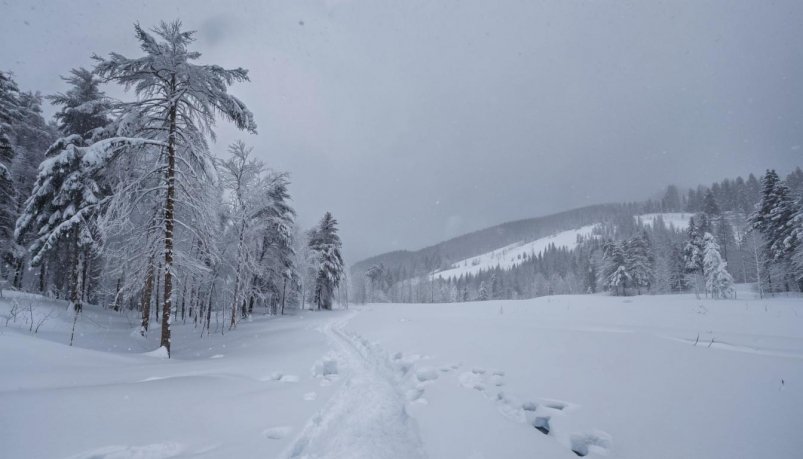 Сорокаградусные морозы нагрянут в Иркутскую область на выходных Kandinsky by Sber AI (18+)