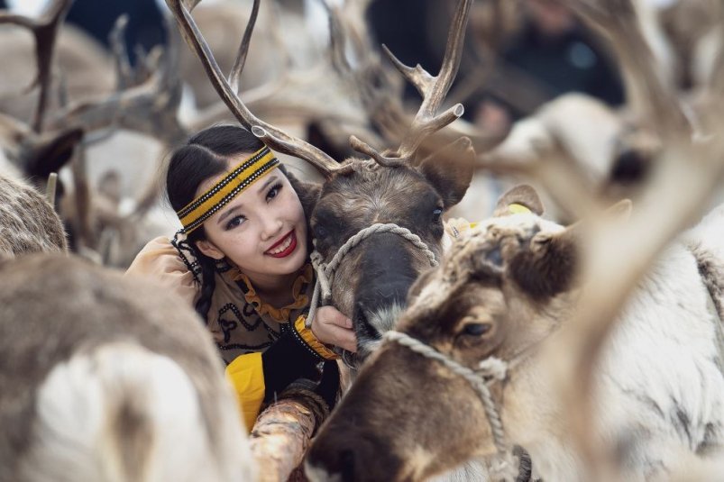 Фотограф Дмитрий Ляшеев — ловец красоты природы и живых образов Дмитрий Ляшеев