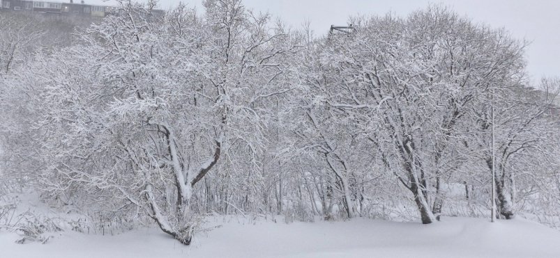 Опять циклон! ИА KamchatkaMedia