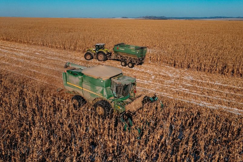 Тематическая иллюстрация ИА PrimaMedia