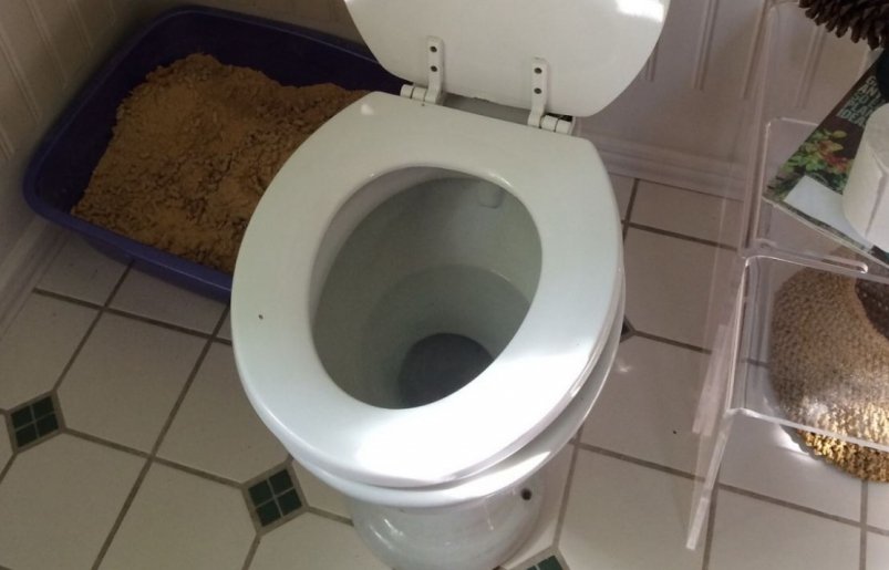 Тематическое фото pxhere.com