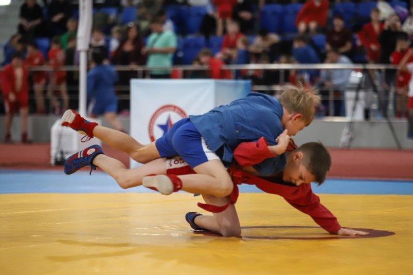 Всероссийский день самбо в Южно-Сахалинске пресс-служба министерства спорта Сахалинской области