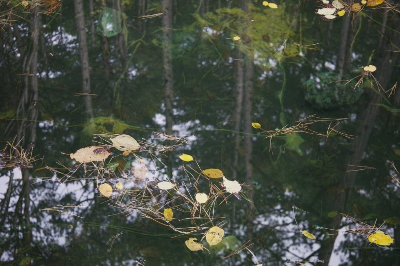 Водоем Сигатур Соцсети ФГБУ "Заповедный Крым"