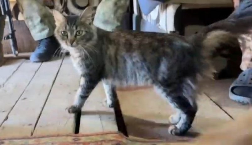 Кадр из видео Народный Фронт Крыма