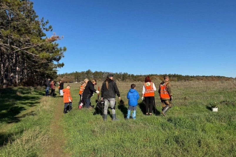 Высадка деревьев Пресс-служба правительства Севастополя