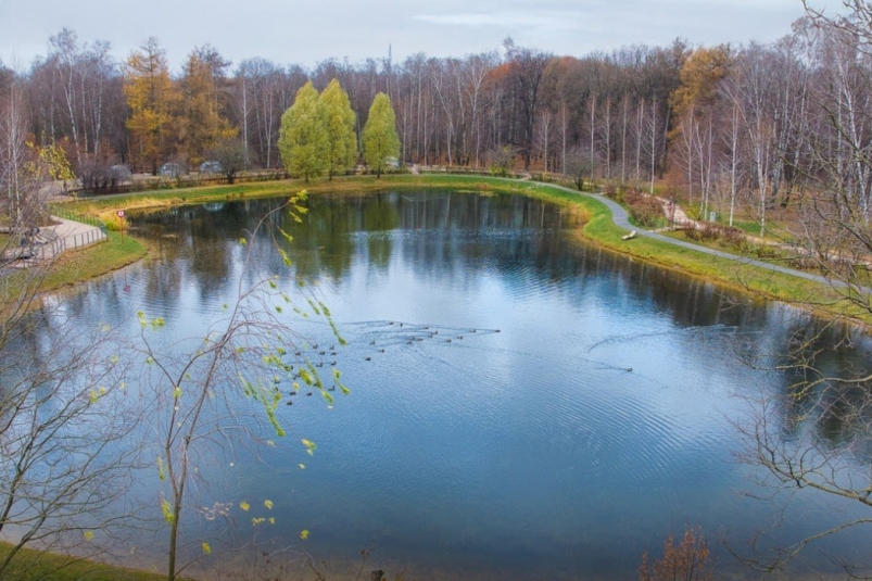 Тематическое фото Telegram-канал мэра Москвы Сергея Собянина