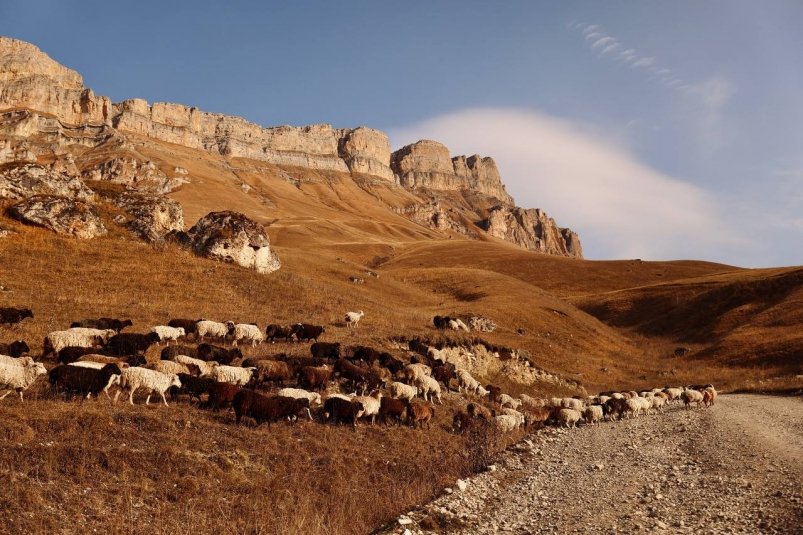 Лучшие фотографии Ставрополья за неделю Фотограф Пятигорск Горы (https://t.me/mila_shoshiashvili_kmv)