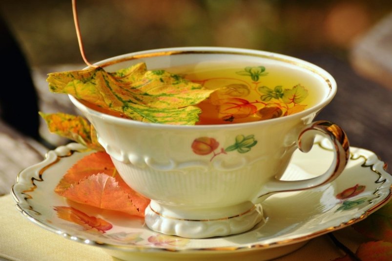 Тематическое фото pxhere.com