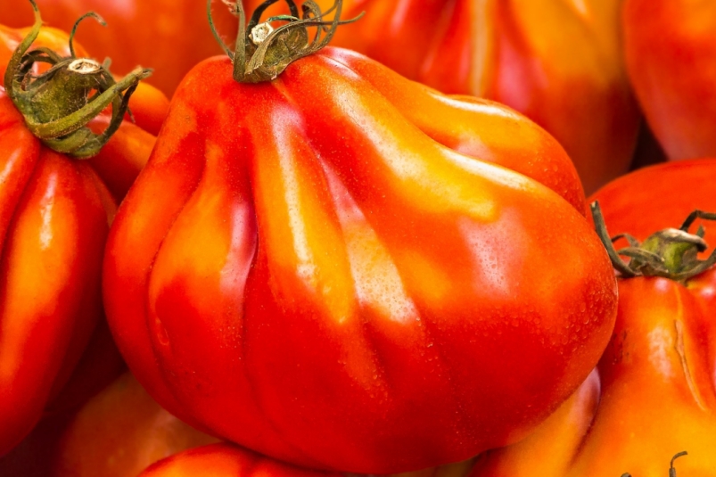 Тематическое фото pxhere.com (18+)