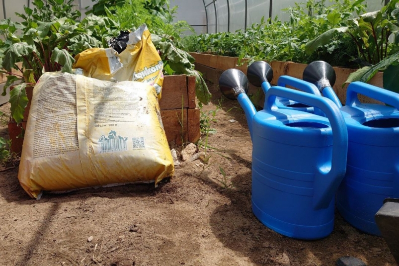 Дачникам раскрыли, как превратить кухонные отходы в эффективное удобрение ИА EAOMedia