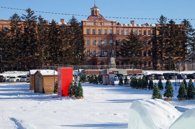 Эксперты назвали самые выгодные направления на Новый год Юлия Матреницкая, ИА AmurMedia.ru