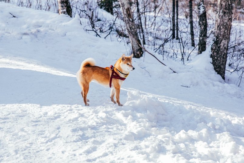 тематическое фото ИА ЕАОMedia