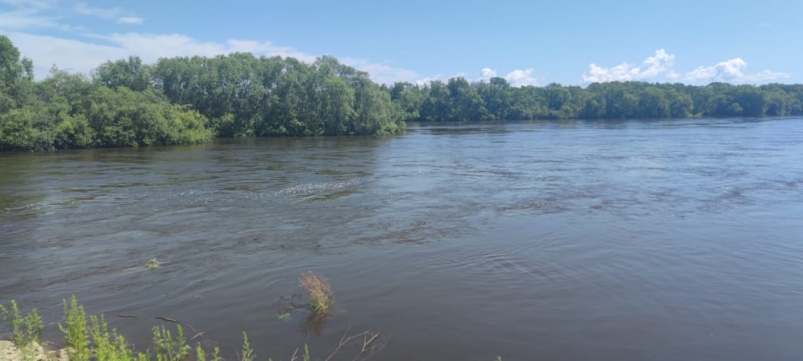 Паводок, наводнение, река, вода Марина  Померанцева , ИА EAOMedia