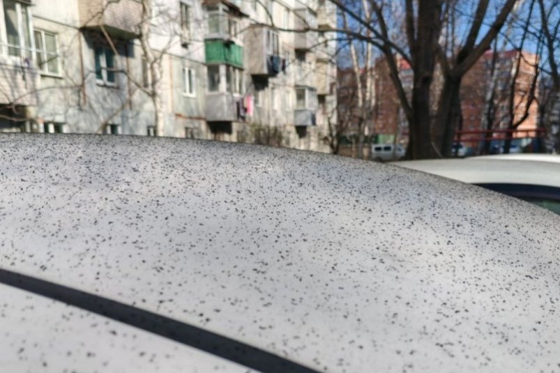 Тематическое фото t.me/primlive25