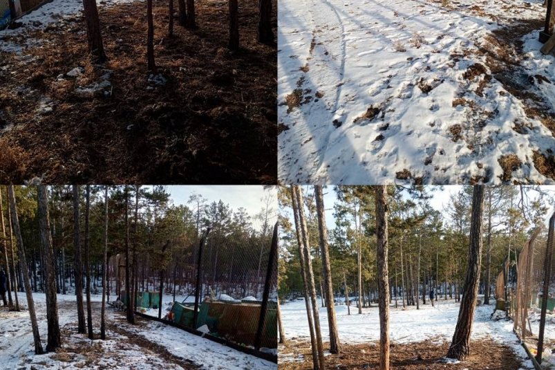 Стихийную свалку в Ольхонском районе убрали после вмешательства прокуратуры Телеграм-канал (18+) Байкальской межрегиональной природоохранной прокуратуры