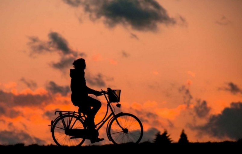 Тематическое фото pxhere.com