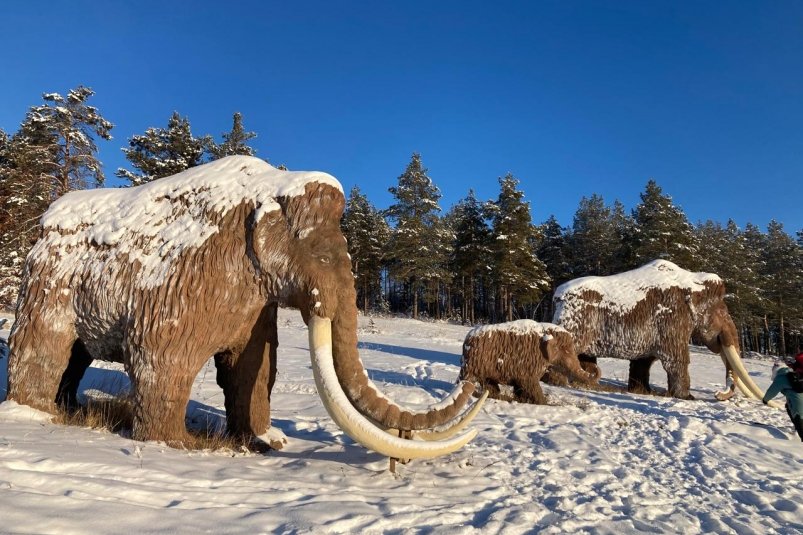 Гороскоп на 18 ноября: Рак избегает стресса, Стрелец - излишней самоуверенности ИА YakutiaMedia