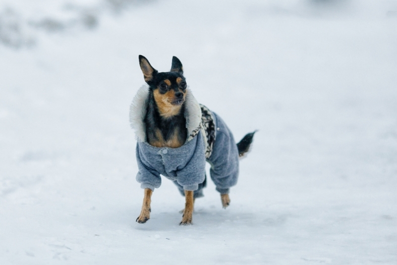 Пасмурная погода ожидается в Иркутске на предстоящей рабочей неделе ИА YakutiaMedia
