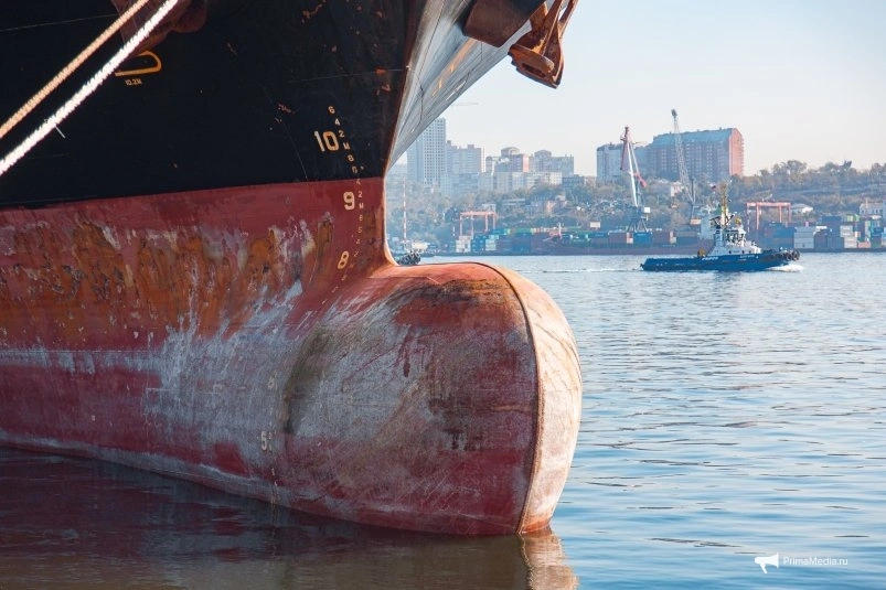 Тематическое фото ИА PrimaMedia