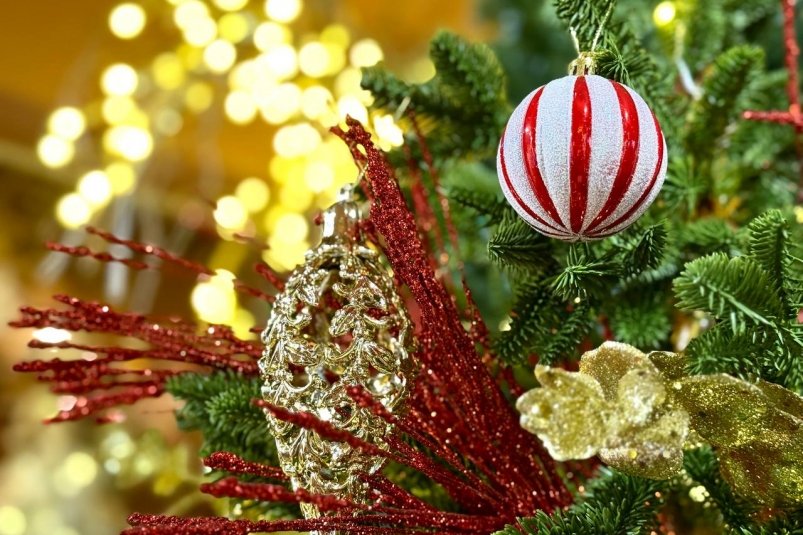 Ёлка ИА MagadanMedia