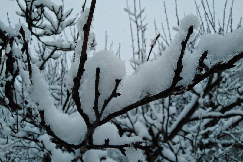 Тематическое фото unsplash