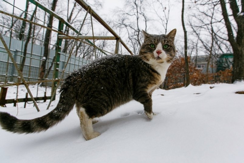 тематическое фото ИА ЕАОMedia