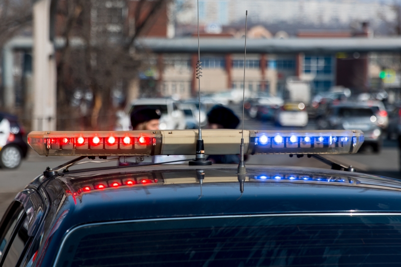 Тематическое фото ИА PrimaMedia