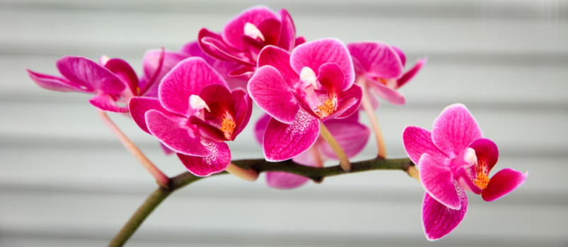 Тематическое фото unsplash.com