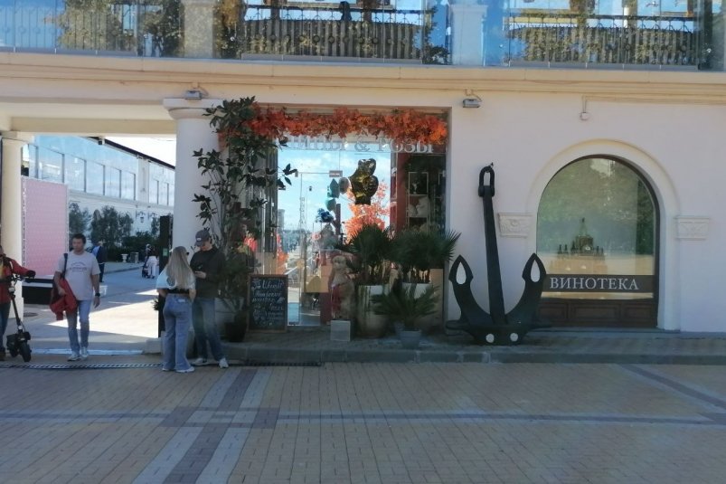 Сочи вошел в тройку лидеров для путешествий в одиночку кар