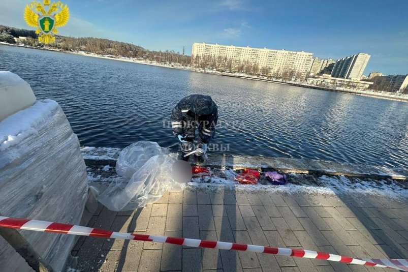 Рюкзак и пакет, в которых нашли голову ребенка Telegram-канал прокуратуры Москвы