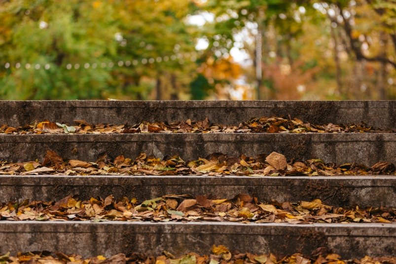 Погода в Сочи порадует горожан и туристов ноябрьским теплом Яна Гайдук