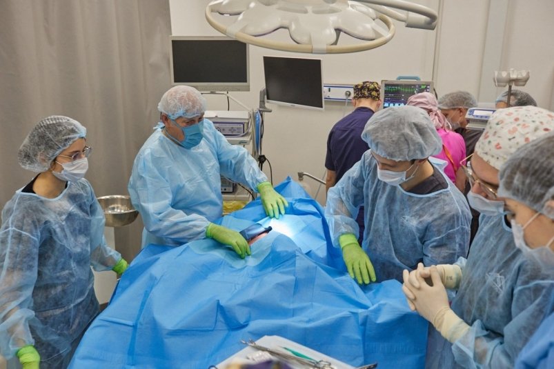 Тематическое фото ИА PrimaMedia