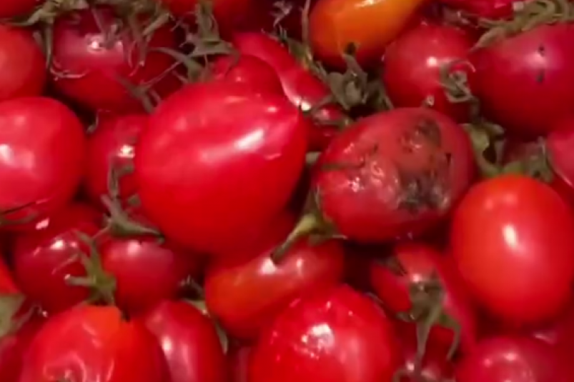 Скриншот тг-канал &quotvdk_i_tochka" (18+)