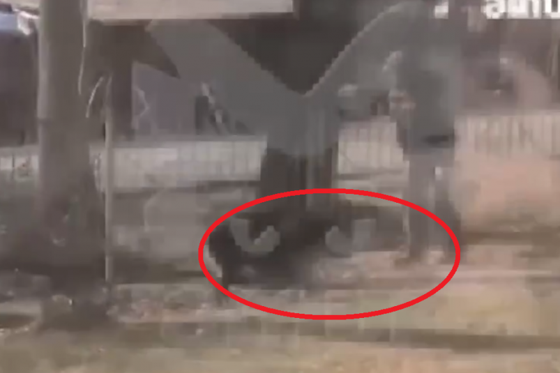 Скриншот тг-канал " amur_mash" (18+)