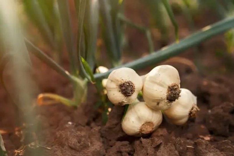 Тематическое фото Unsplash.com