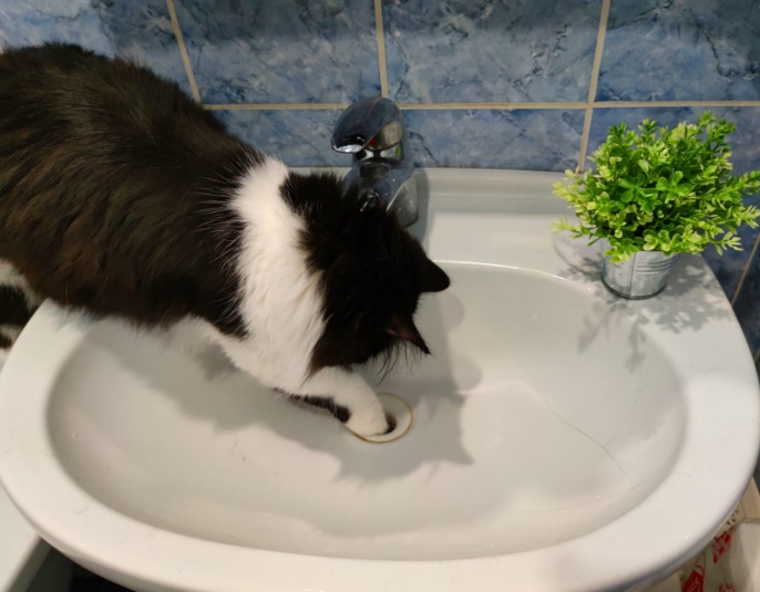 Тематическое фото ИА Stavropol.Media, Елена Гиневская