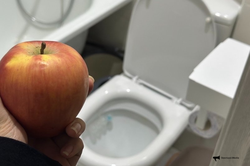 Залейте в унитаз сок этого фрукта: отбеливает мощнее химии через 2 минуты - блестит так, что глаза слепит ИА Stavropol.Media