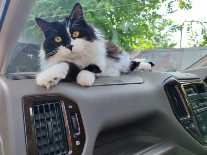 Тематическое фото Елена Гиневская, ИА Stavropol.Media