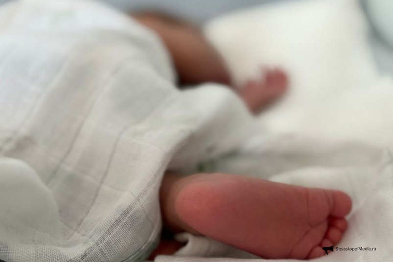 Тематическое фото ИА Stavropol.Media