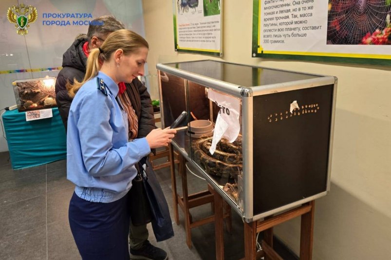 Тематическое фото Telegram-канал прокуратура Москвы