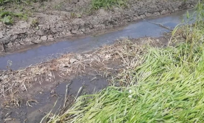 С кубанского "Агрокомплекса" Ткачёва потребовали 5,8 млн рублей за сброс навоза Пресс-служба Роспотребнадзора